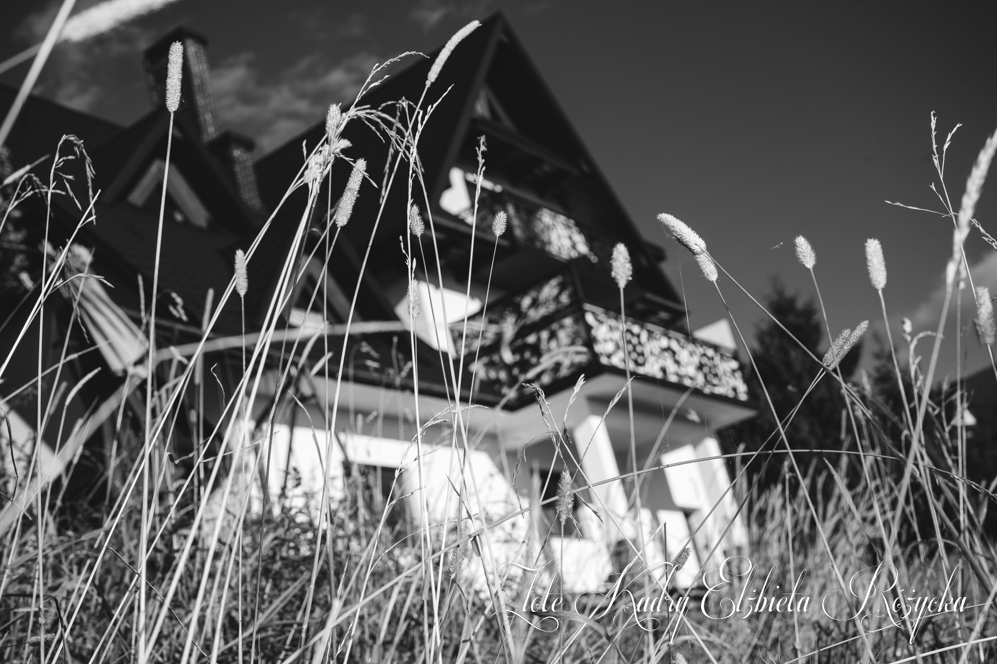 A7505123-2